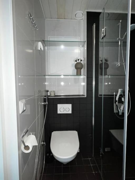 Cozy Penthouse Loft - Near The Airport Apartman Vantaa Kültér fotó